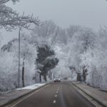 A car drives down a snowy winter road surrounded by frost-coated trees.